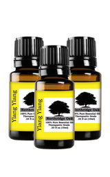 Northridge Oak - Ylang Ylang 3 pack - 100% Pure Essential Oil